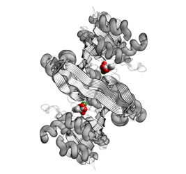 [1A05.pdb ribbons sideview]