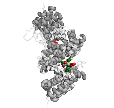 [1A05.pdb color]