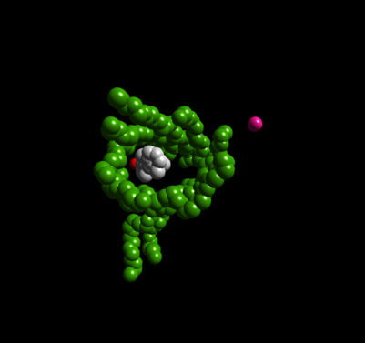 [1AQB.pdb retinol only]