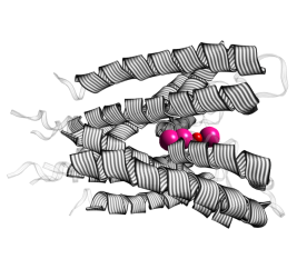 [1BL8.pdb side view]