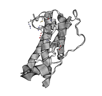 [1HGU.pdb ribbons-spheres]