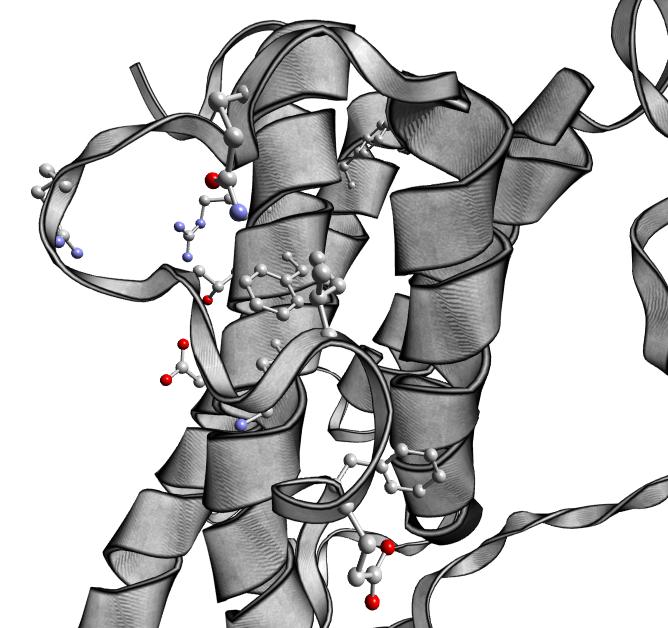 [1HGU.pdb ribbons-spheres closeup]