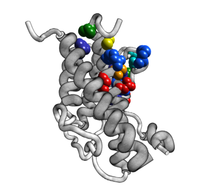 [1HGU.pdb tubes-spheres]