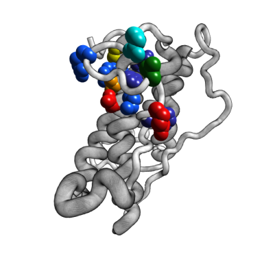 [1HGU.pdb tubes-spheres (left)]