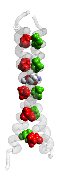 [1JUN.pdb pen-and-ink tubes]