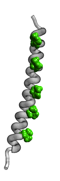 [1JUN.pdb tubes & side chains]