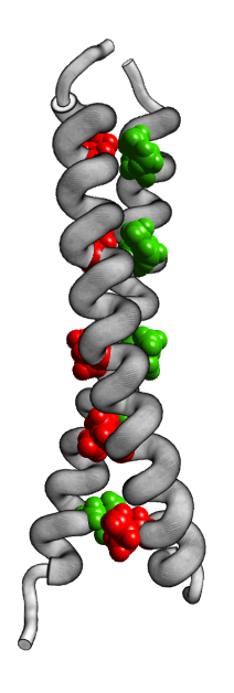 [1JUN.pdb tubes & side chains]