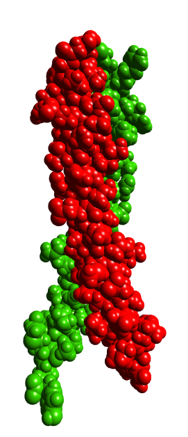 [1JUN.pdb space filling]