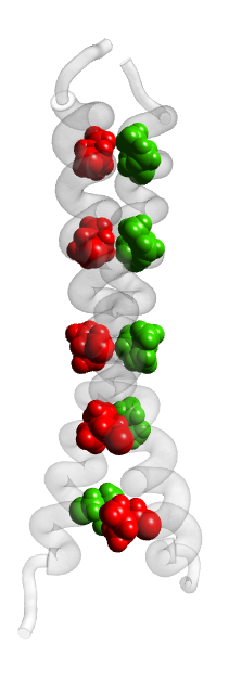 [1JUN.pdb translucent tubes]