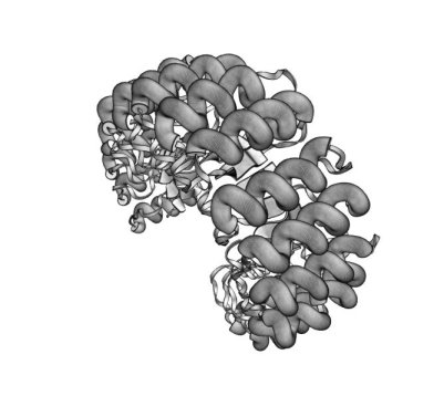 [2BNH.pdb tubes]