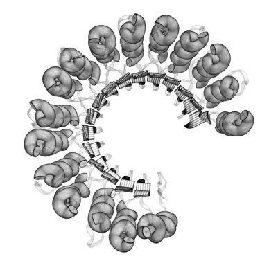 [2BNH.pdb tubes and ribbons]