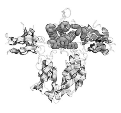 [3HHR.pdb endview]