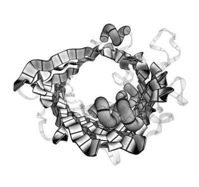 [3POR.pdb ribbons endview]