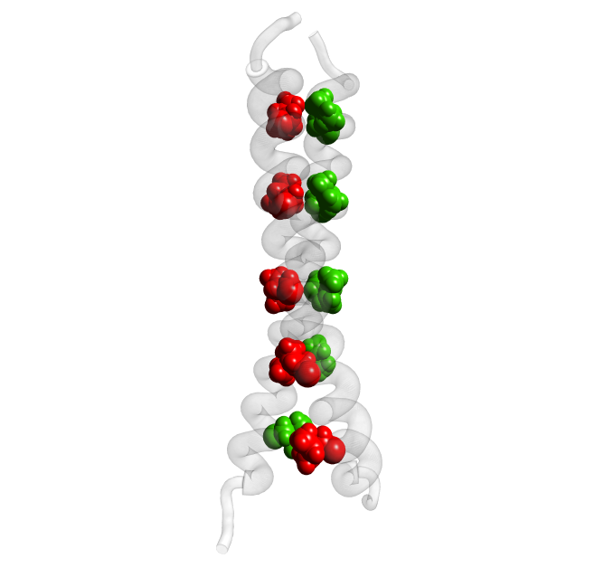 c-JUN Homodimer [PDB:1JUN]